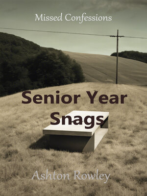 cover image of Senior Year Snags
